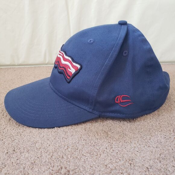 Lehigh Valley Iron Pigs Minor League Baseball OC Sports Strapback Hat Cap Blue - Picture 2 of 5
